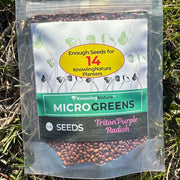 Triton Purple Radish Seeds for Growing Microgreens or Sprouts