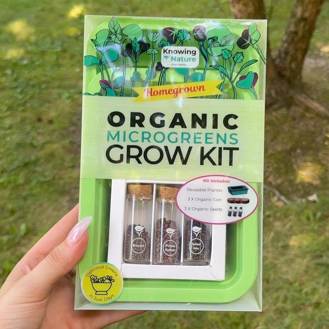 Reusable Microgreens Grow Kit For Any Windowsill | $39 for 3
