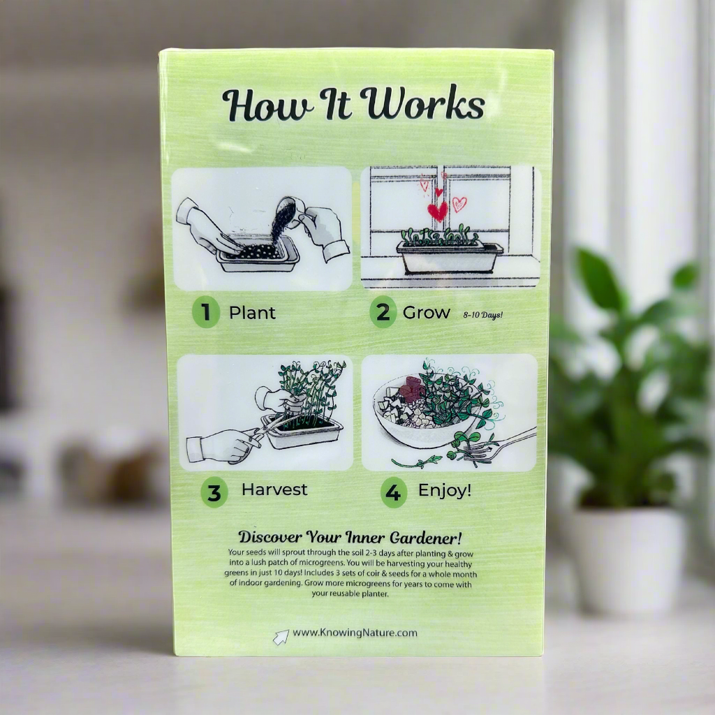 Reusable Microgreens Grow Kit For Any Windowsill | $39 for 3