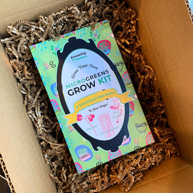 Grow-At-Home Kit - Gift Box, 3 Harvests