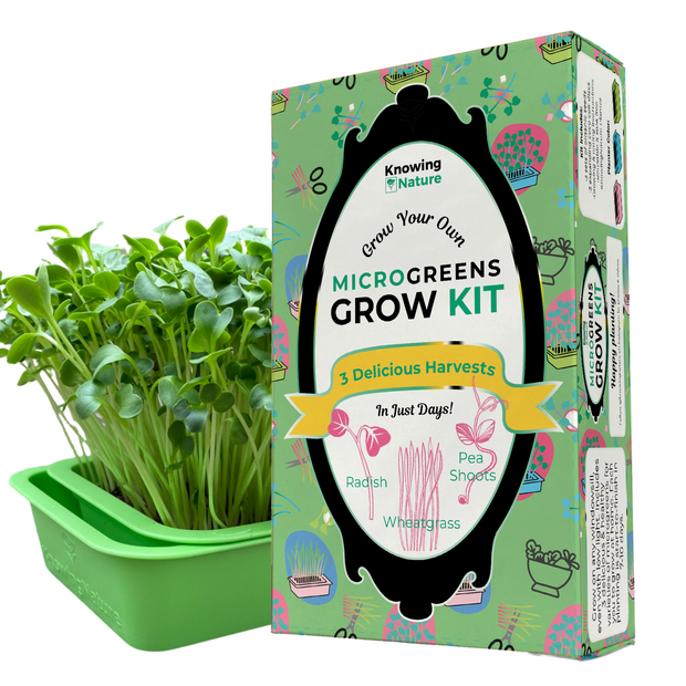 Grow-At-Home Kit - Gift Box, 3 Harvests